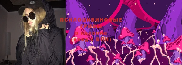 прущая мука Алзамай