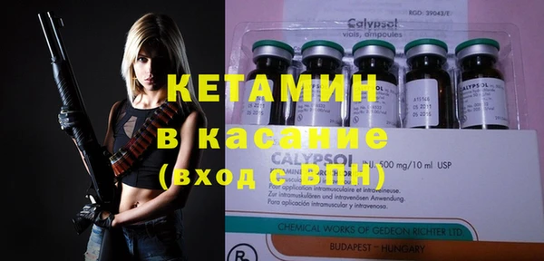 крисы Абаза