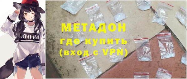 шишки Няндома