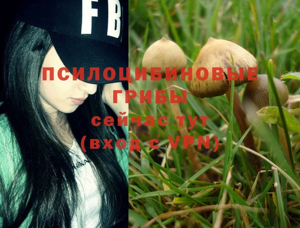 COCAINE Абдулино