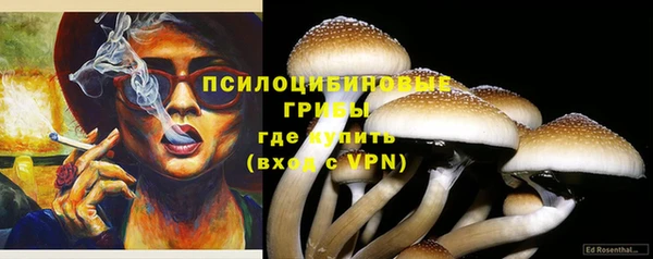 стаф Абинск