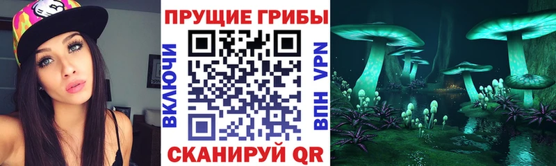 купить наркотики цена  Отрадная  Псилоцибиновые грибы ЛСД 